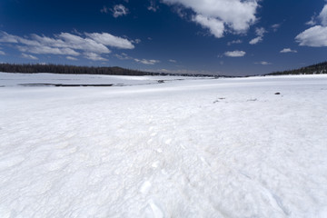 Snow Field