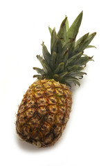 Pi&ntilde;a