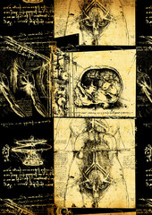 Leonardo's Da Vinci engineering &amp; Anatomy  drawing