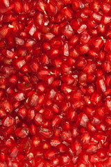 Background of red  seeds