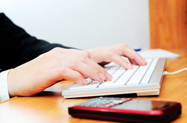 Obraz na płótnie Canvas Female hands typing on a keyboard