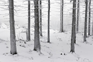 Zima w polskich górach, Beskidy