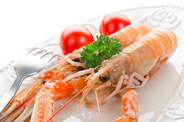 norwey lobster -scampi