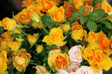 background from beautiful bouquet of roses