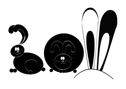 Rabbit