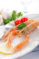 norwey lobster -scampi