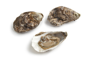 Fresh raw oysters in an open and closed shell