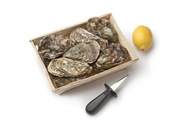 Fresh raw oysters in a box