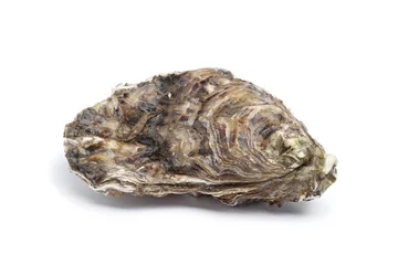 Fotobehang Hele enkele verse rauwe oester © Picture Partners