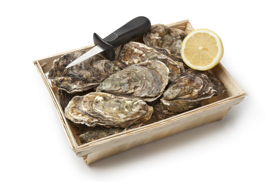 Fresh raw oysters in a box