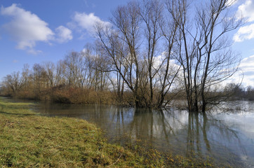 Fototapeta na wymiar Flood in the nature park