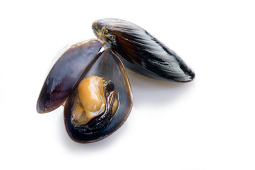 mussel-cozze