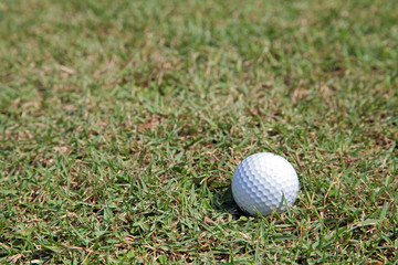 perspective of golf ball green grass