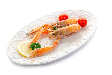 norwey lobster -scampi