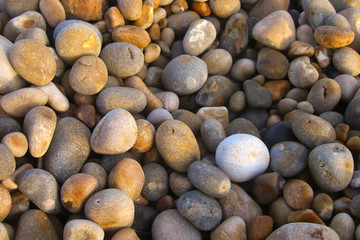 Single white round pebble on the beach