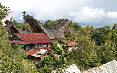 Fototapeta na wymiar Toraja Traditional Village