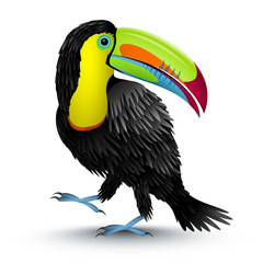 Vector illustration of a toucan © Willy Mobilo