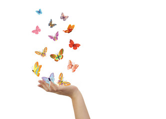 Butterflies and Hand  