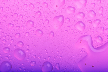 water drops on purple surface