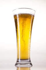 Glass of beer on a white background