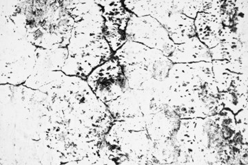 texture on the old wall