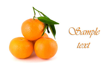 Mandarins are isolated on a white background