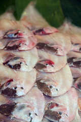 Fresh soles Liege Belgium