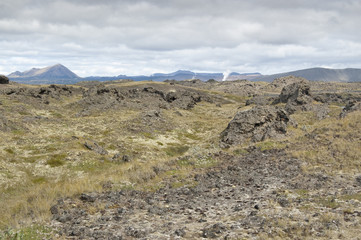 Fototapeta na wymiar Pola lawy w Islandii