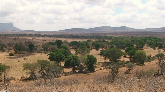 Afrikanische Landschaft