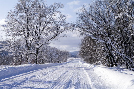 Winter road to frosty day