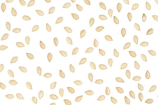 seed of pumpkin background