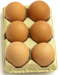 eggs