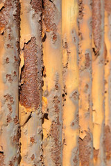 rusty waveform iron plate