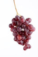 grappe de raisin