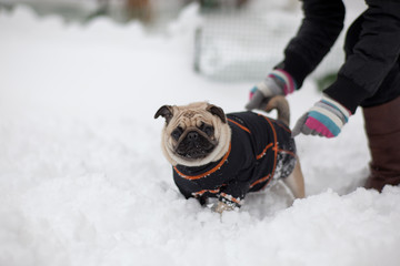 carlino sotto la neve © riccardo bruni