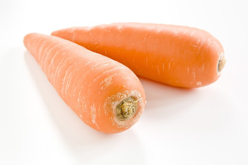白色の背景に2本の人参
