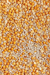 Mixed groats macro texture background