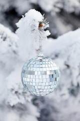 Christmas ball on the fir