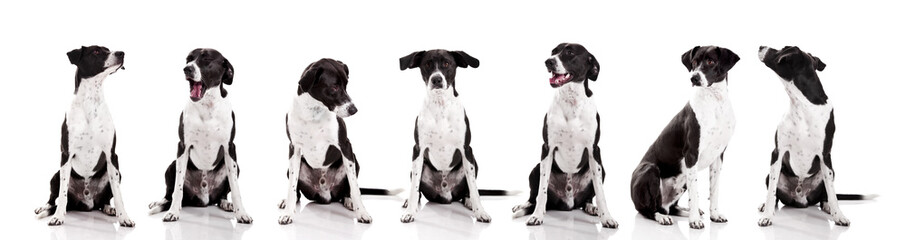 My diferent expressions