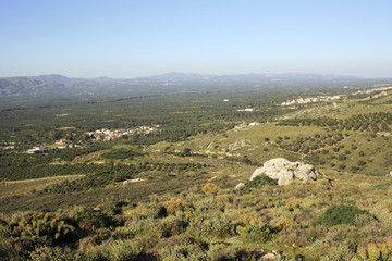 Village and olive tree in Crete - Landscape of Messara Valley