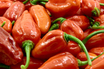 IMG_2419_justABunchOfChillies.jpg