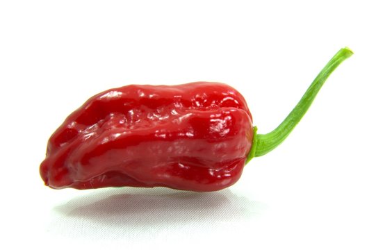 IMG_2429_BunchOfChilliesjpg