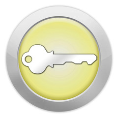 Light Colored Icon (Yellow) 