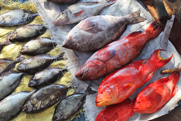 Fish market