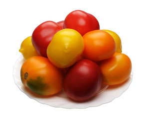 Multicolored tomatoes, isolated