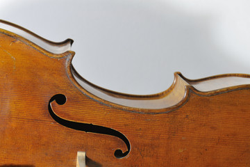 Violoncello