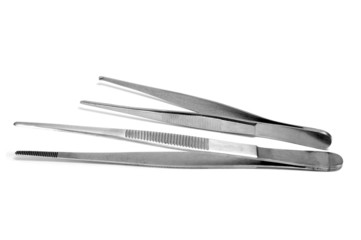 dissecting forceps