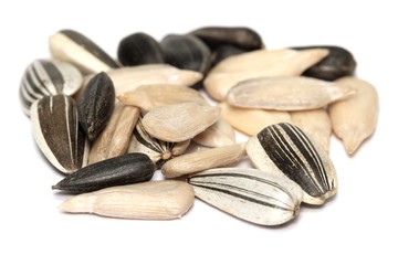 Graines de tournesol