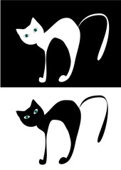 Black $ white cats