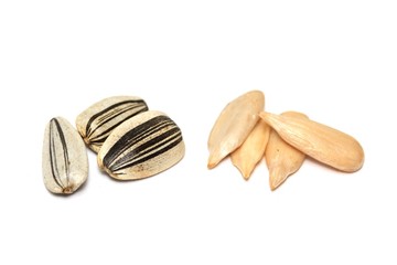 Graines de tournesol